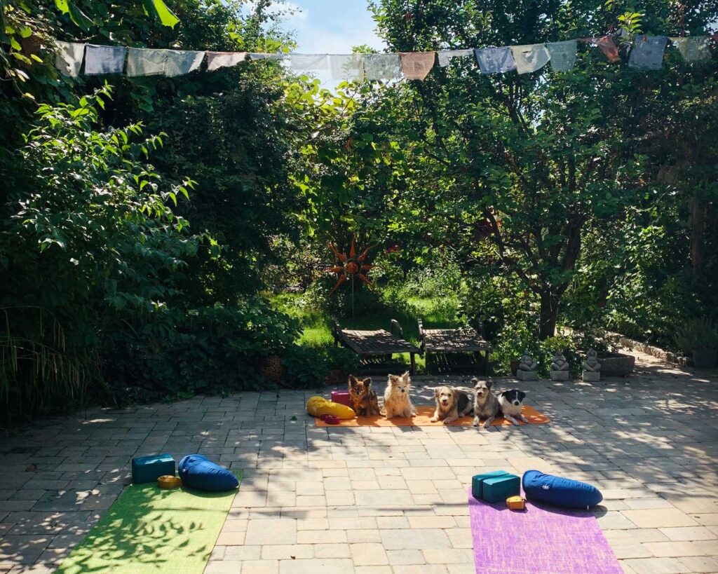 DerYogagarten13 Weinviertel Kinderyoga Yoga Hund