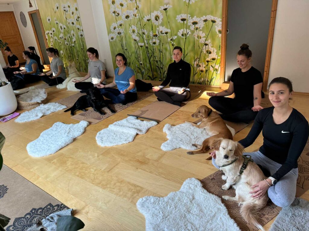 Der Yogagarten13 Steinabrunn Weinviertel Hundeyoga
