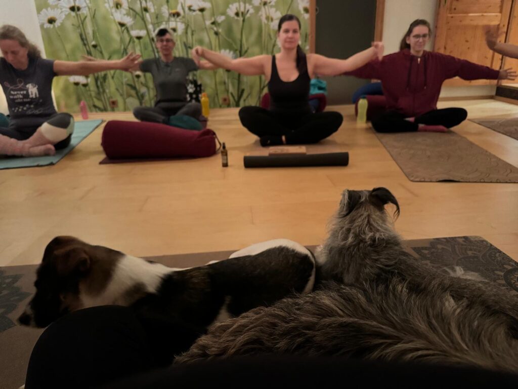 Der Yogagarten13 Weinviertel Steinabrunn Daniela Baumgartner Gruppenyoga
